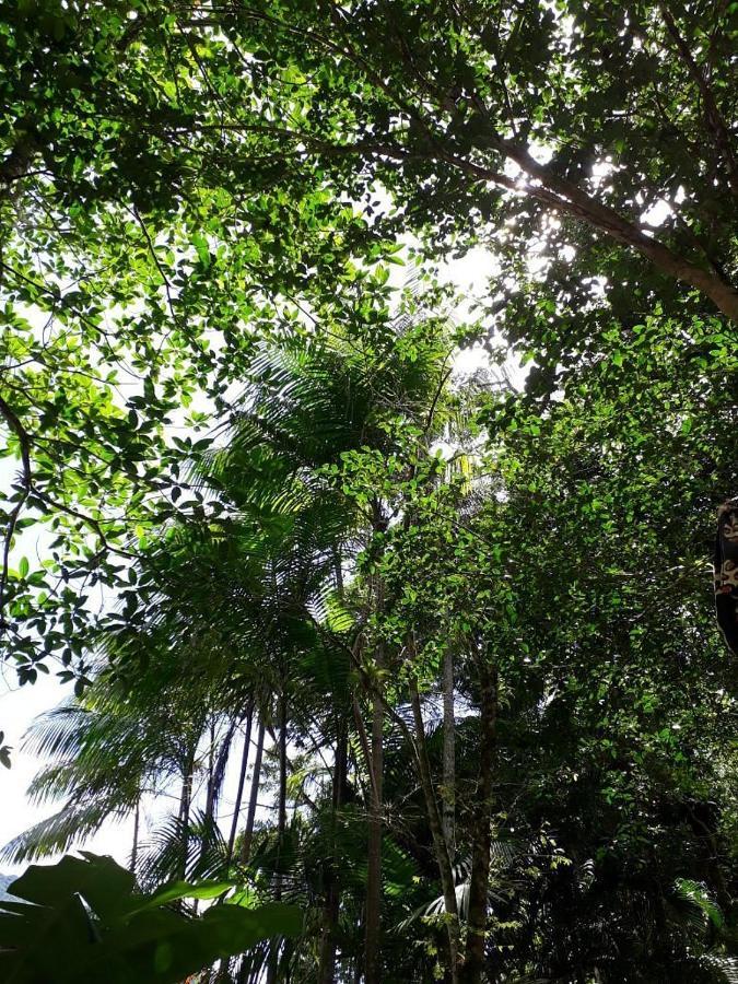 Sumatra Ecolodge เซา เซบัสเชียว ภายนอก รูปภาพ