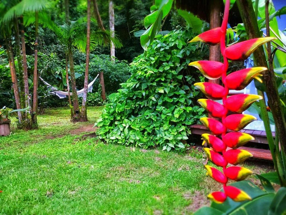 Sumatra Ecolodge เซา เซบัสเชียว ภายนอก รูปภาพ